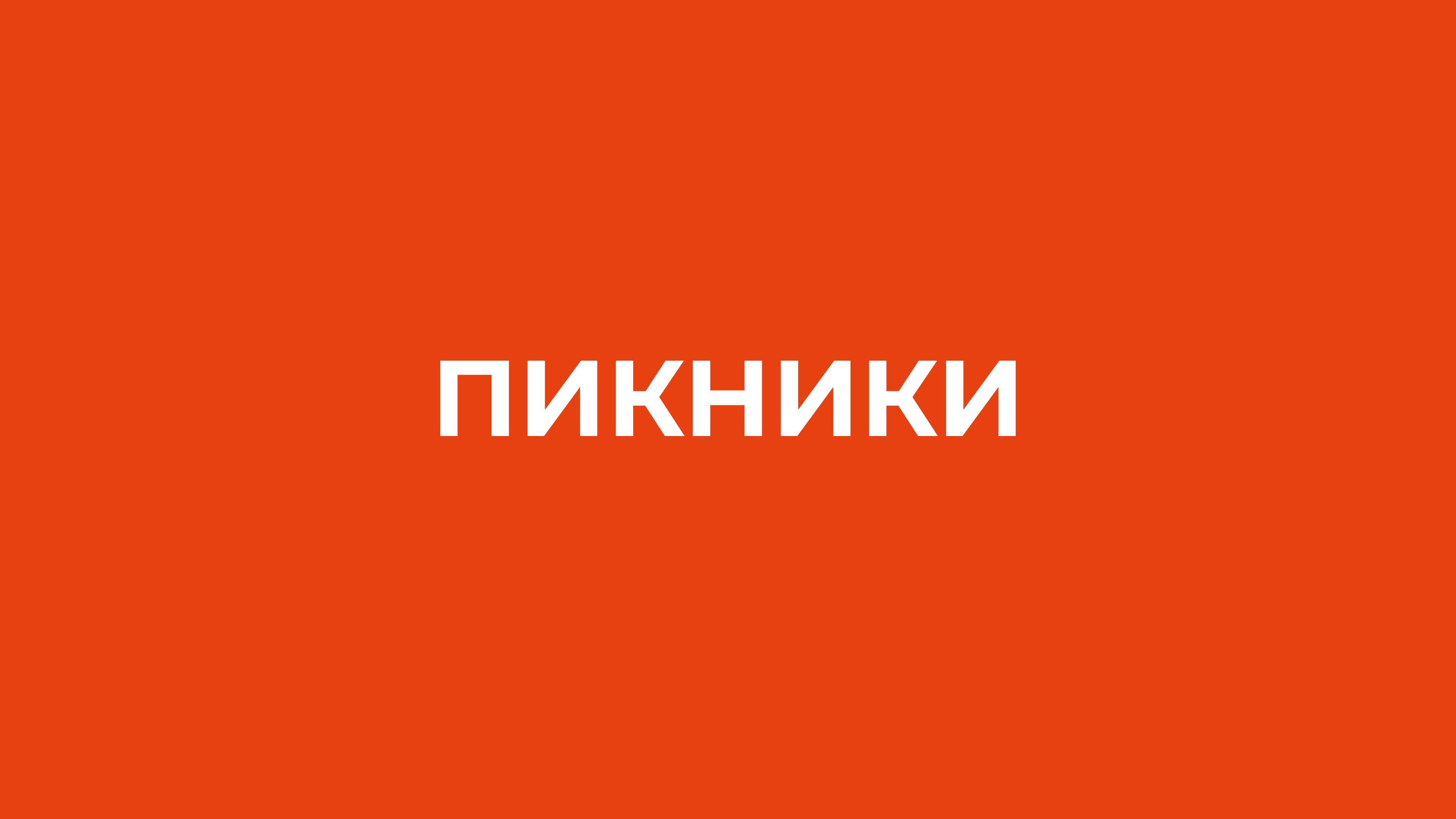 ЗОНА ПИКНИКА